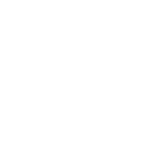 Főnök